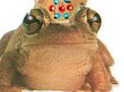 grenouille et/ou boeuf...