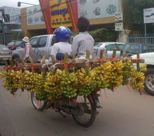 Transport de bananes sur moto au Cambodge