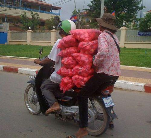 transport de pommes sur mobylette au Cambodge