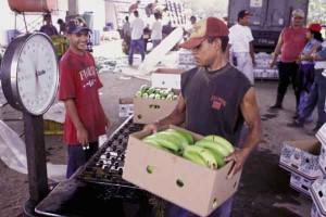 Chávez accélère sa « révolution agraire »