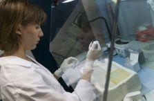 recherche_presentation