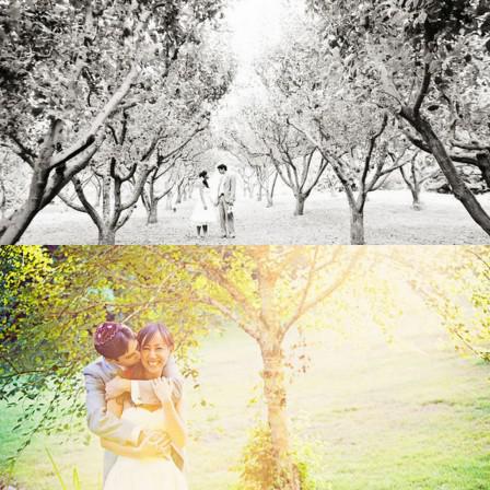 Symphonie en Turquoise