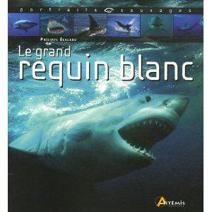 roq France-Roumanie: Payet la facture