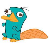 Phinéas et Ferb : Perry Surfe