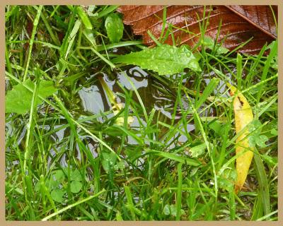 Bonjour, Tristesse !...