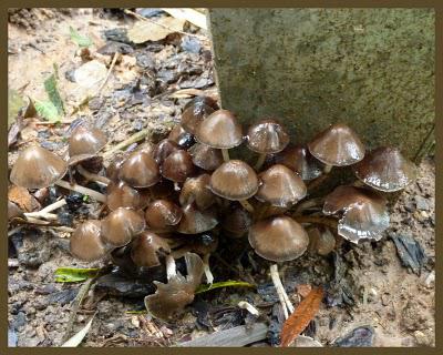 Bonjour, Tristesse !...