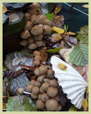 Bonjour, Tristesse !...