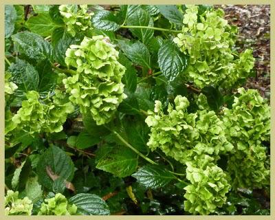 Bonjour, Tristesse !...