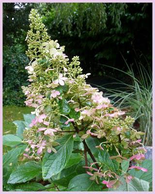 Bonjour, Tristesse !...