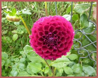 Bonjour, Tristesse !...