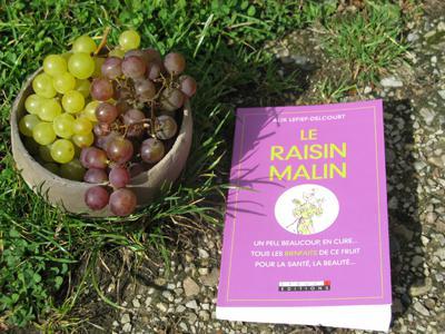 le raisin malin et la farine de pépins de raisin