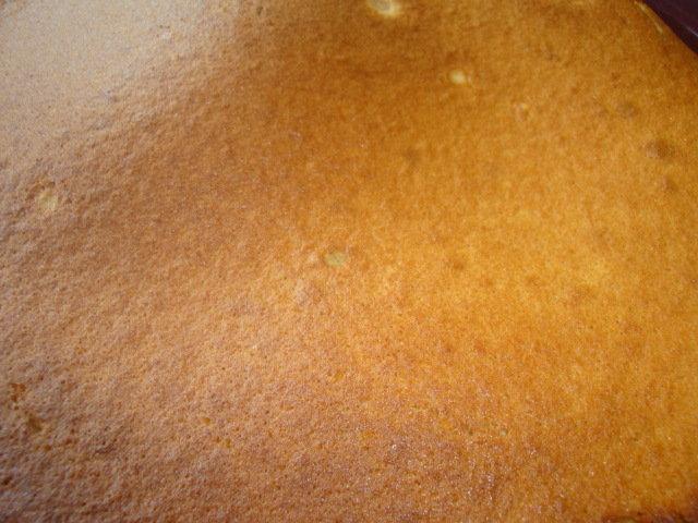 2010-01-27 11-29-37 - DSC09580