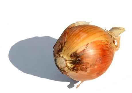 Onion oignon  cenoura タマネギ  cipolla
