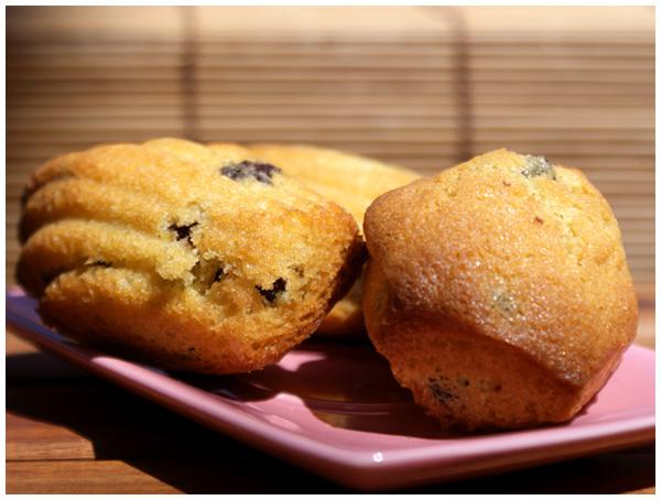 madeleines1