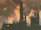 Environnement nature détruite industries
