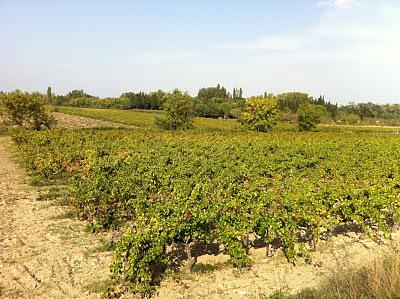 Début d'automne en pays gardois...