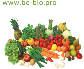 Capture d’écran 2010-10-08 à 14.22.57