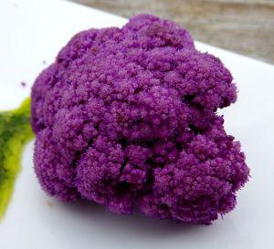 Gratin à la sablée de chou fleur violet, émulsion de basilic