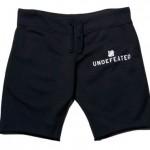 undefeated_2010_fall_delivery_3_10