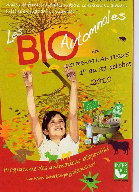 bouillon de kultures