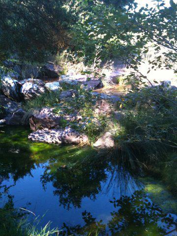 Arboretum de Roure