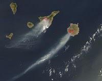 LE PIN CANARIEN  : Un pacte avec le feu