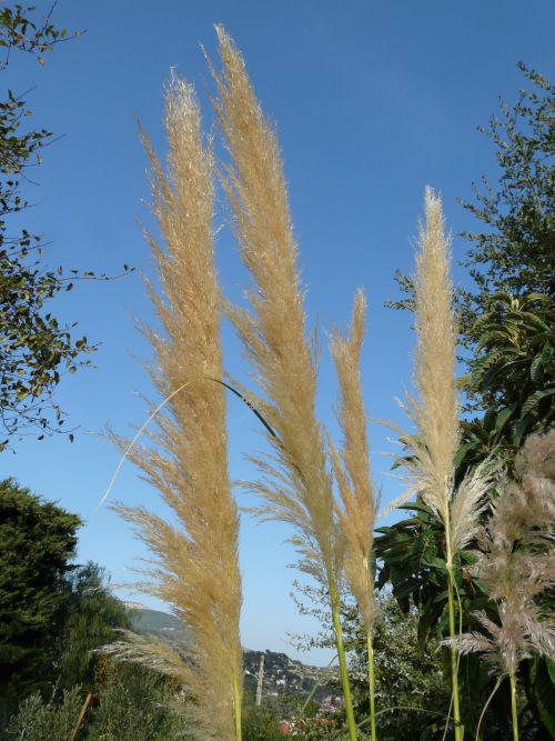 Nettoyage des bassins et tonte du gazon : journal du 10 octobre 2010