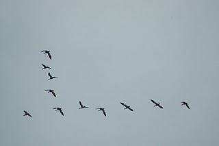 Une chose merveilleuse et grande