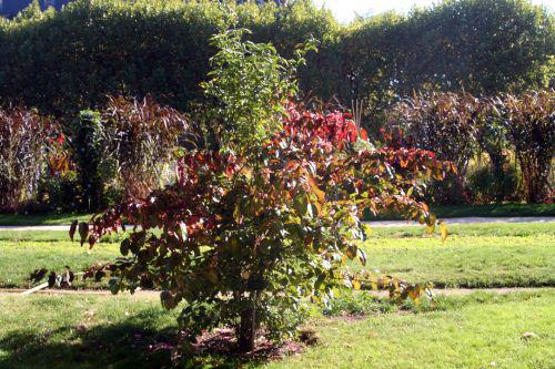 euo grand rw paris 10 oct 2010 046.jpg