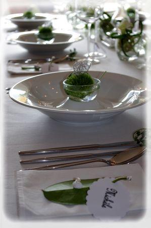 table_blanche_068_modifi__1