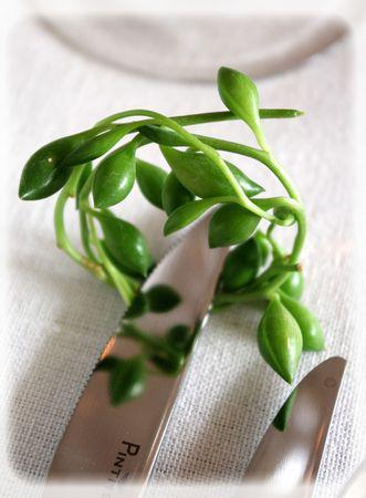 table_blanche_073_modifi__1