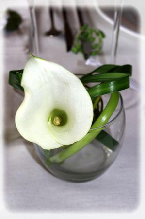 table_blanche_018_modifi__1