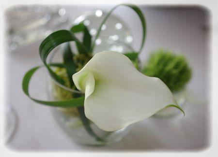 table_blanche_017_modifi__1