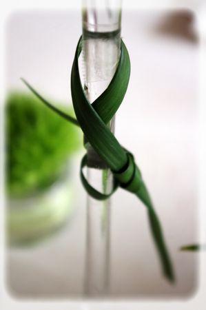 table_blanche_074_modifi__1