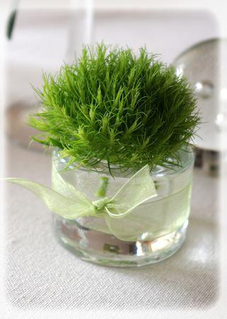 table_blanche_085_modifi__1