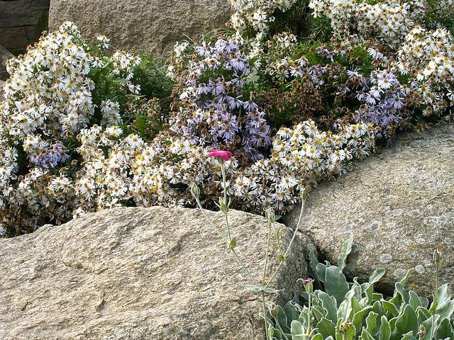 un peu beaucoup passionnement