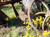 quatre saisons campagne