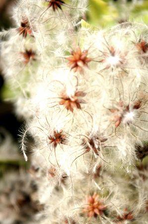 PICT0030