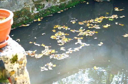 PICT0042