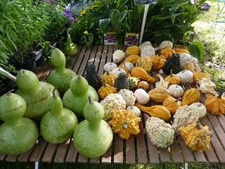 Week-end très agréable, ensoleillé à souhait ! C'était le...