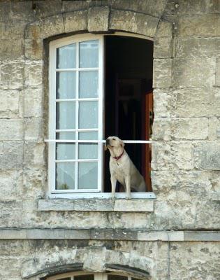 Week-end très agréable, ensoleillé à souhait ! C'était le...