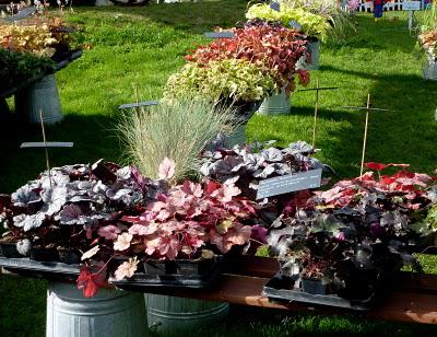 Week-end très agréable, ensoleillé à souhait ! C'était le...