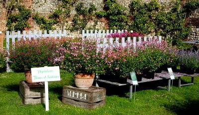 Week-end très agréable, ensoleillé à souhait ! C'était le...