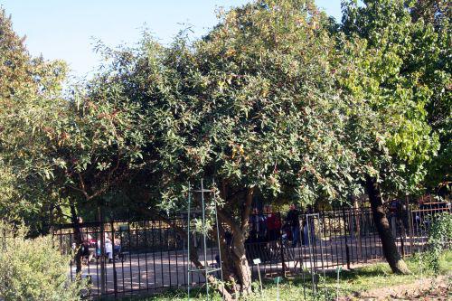 zantho plan entier paris 10 oct 2010 160.jpg