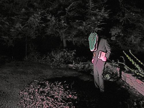 Avey Tare: Oliver Twist - Stream
Avey Tare est en passe de...