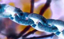 réaction en chaîne