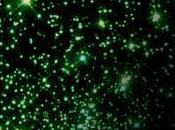 série animée Green Lantern dévoile poster