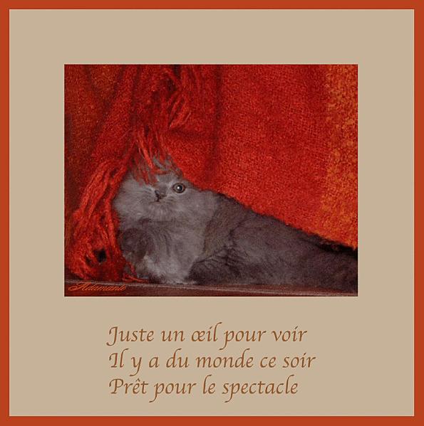 10 Juste un oeil pour voir copie