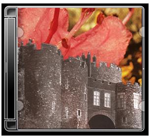 Deerhunter revient des profondeurs