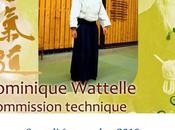 Stage d’aikido Waziers avec Dominique Wattelle